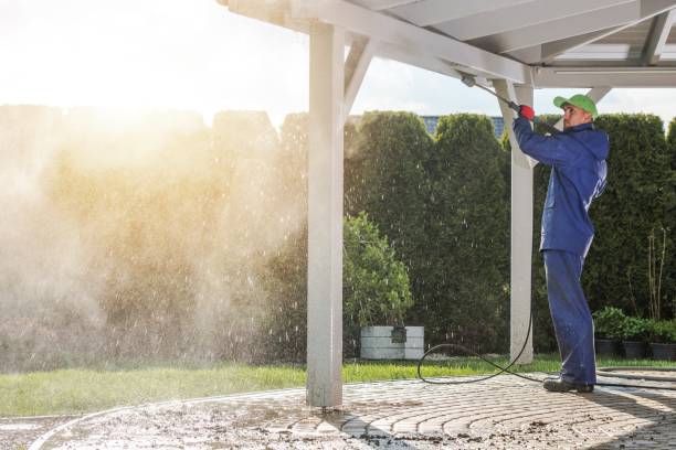 Best Roof Washing  in Battlefield, MO
